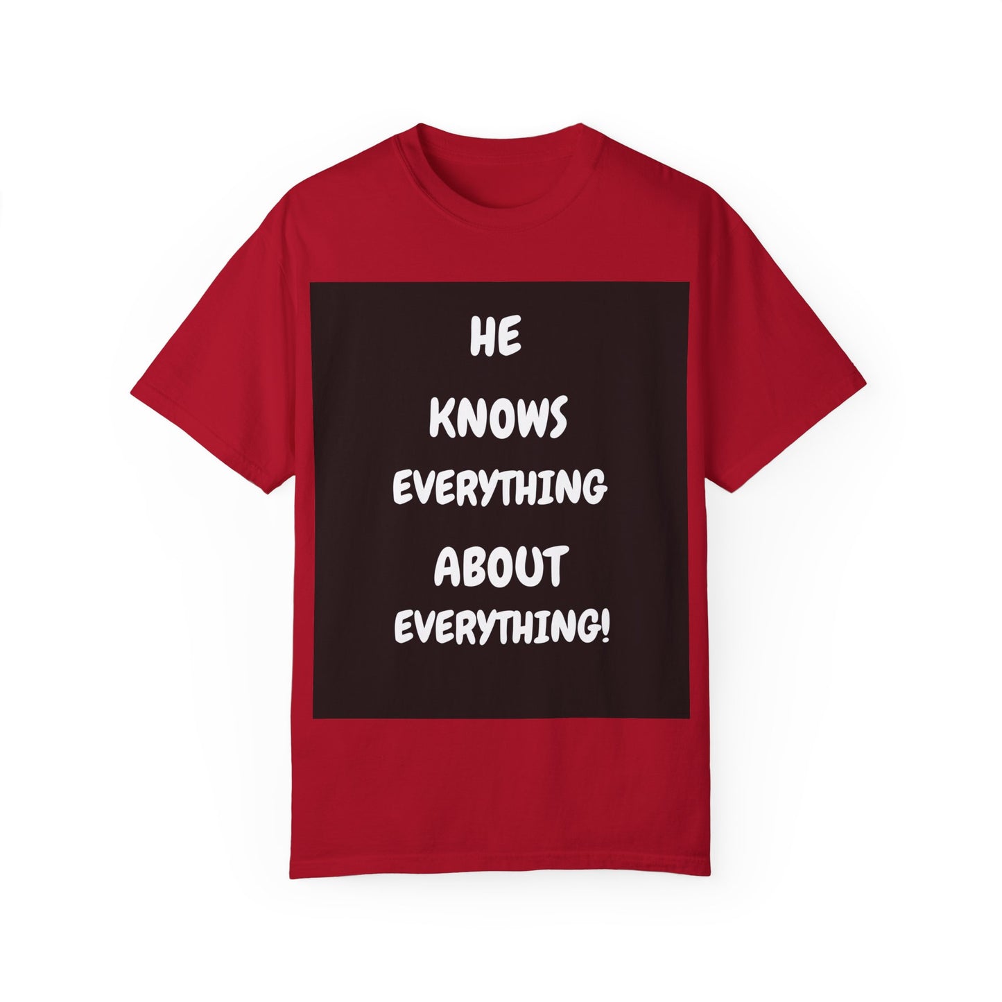 Humorous Unisex Garment-Dyed T-Shirt - "He Knows Everything About Everything!"